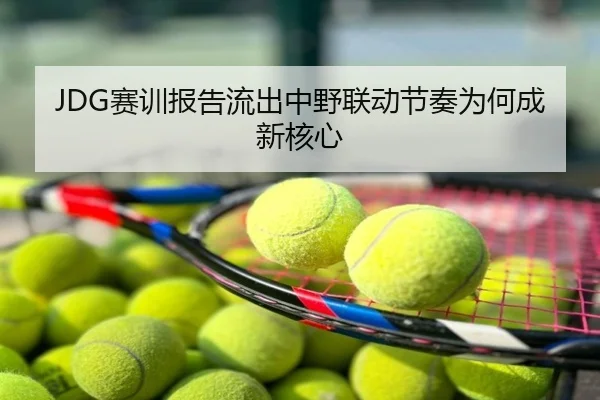 JDG赛训报告流出中野联动节奏为何成新核心